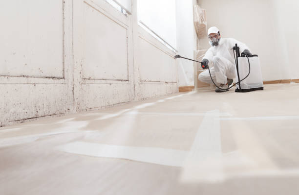 24/7 Emergency Commercial Mold Remediation experts in Narberth, PA