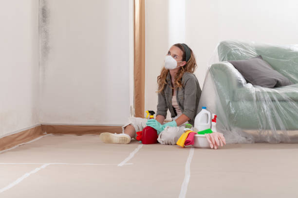 Reliable Commercial Mold Remediation contractor in Narberth, PA by WQB Mold Removal